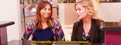 Parks and Recreation - Ann Perkins and Leslie Knope sit next to each other at a desk. Leslie says "No, tragically, we are both heterosexual." and Ann gives a whaddayagonnado shrug.
